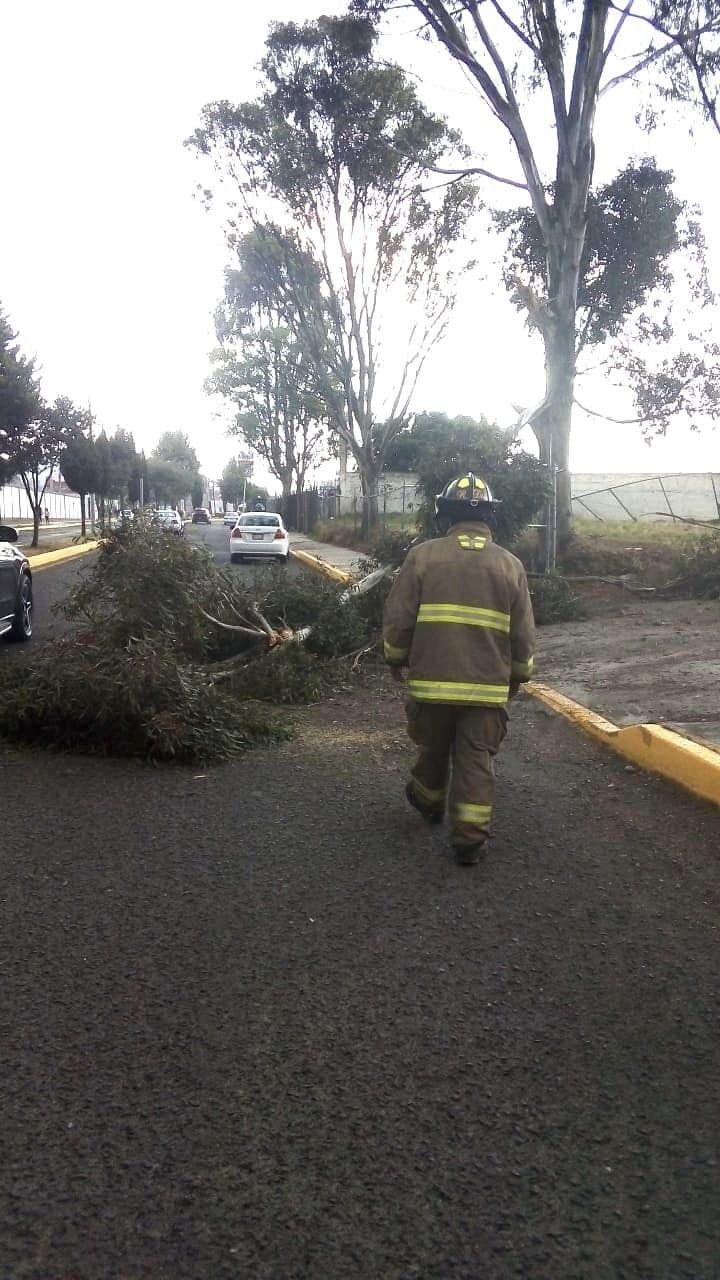 1682102363 672 De manera inmediata acudieron elementos de la Coordinacion de Proteccion