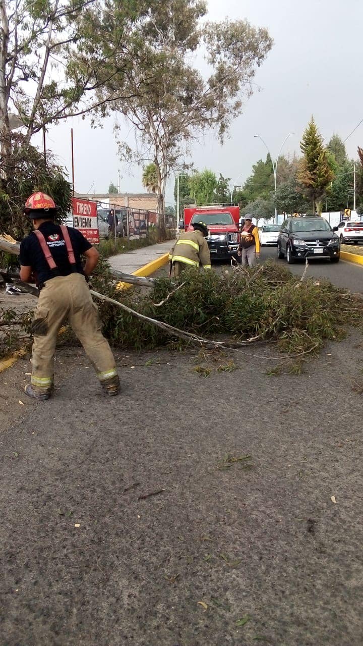 1682102408 De manera inmediata acudieron elementos de la Coordinacion de Proteccion