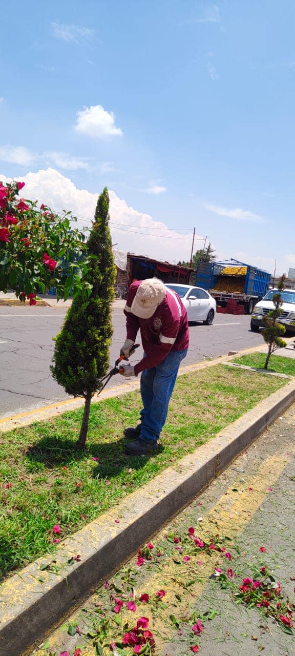 1682110587 332 Dar mantenimiento a nuestras areas verdes es imagen para nuestra