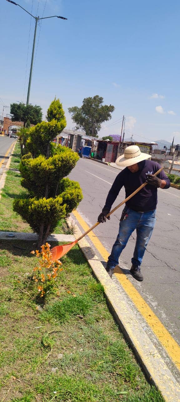 1682110591 229 Dar mantenimiento a nuestras areas verdes es imagen para nuestra