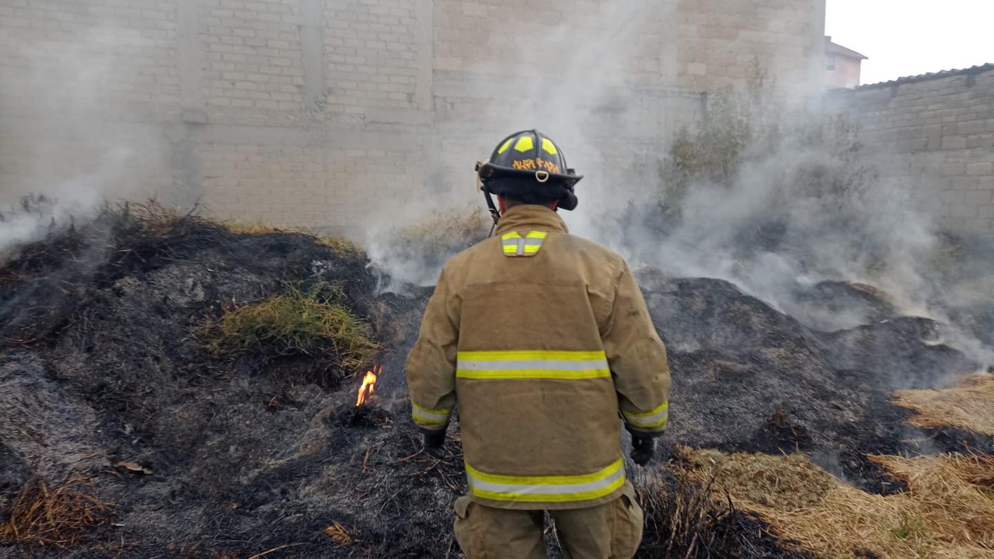 1682116936 931 Trabajan bomberos del municipio en incendio de pastizal en Casa