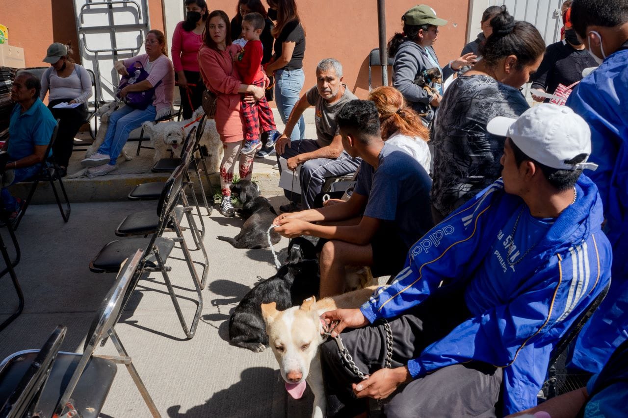 1682117860 255 CON JORNADAS DE ESTERILIZACION EN CHIMALHUACAN BUSCAN DISMINUIR LA SOBREPOBLACIO