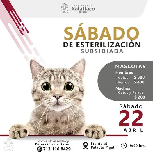 1682169954 Recuerda hoy es sabado de esterilizacion subsidiada jpg