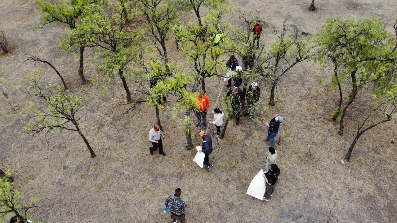 1682191487 332 El cuidado del medio ambiente es tarea de todos