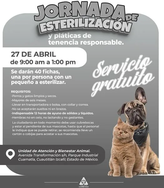 1682271356 Lleva a tu mascota a la Jornada de Esterilizacion que jpg