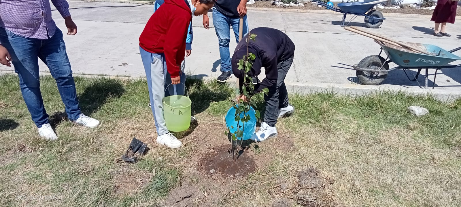 1682341652 309 Los arboles producen oxigeno purifican el aire forman suelos fertiles