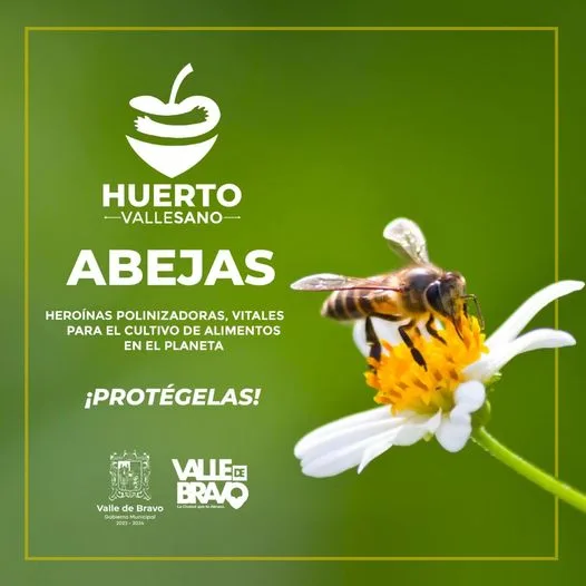 1682351341 Nuestro Valle de Bravo es rico en produccion y actividad jpg