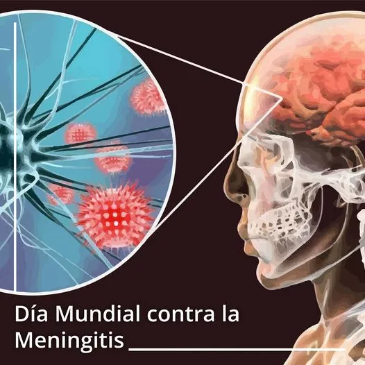 1682352893 El Dia Mundial de la Meningitis se celebra el jpg