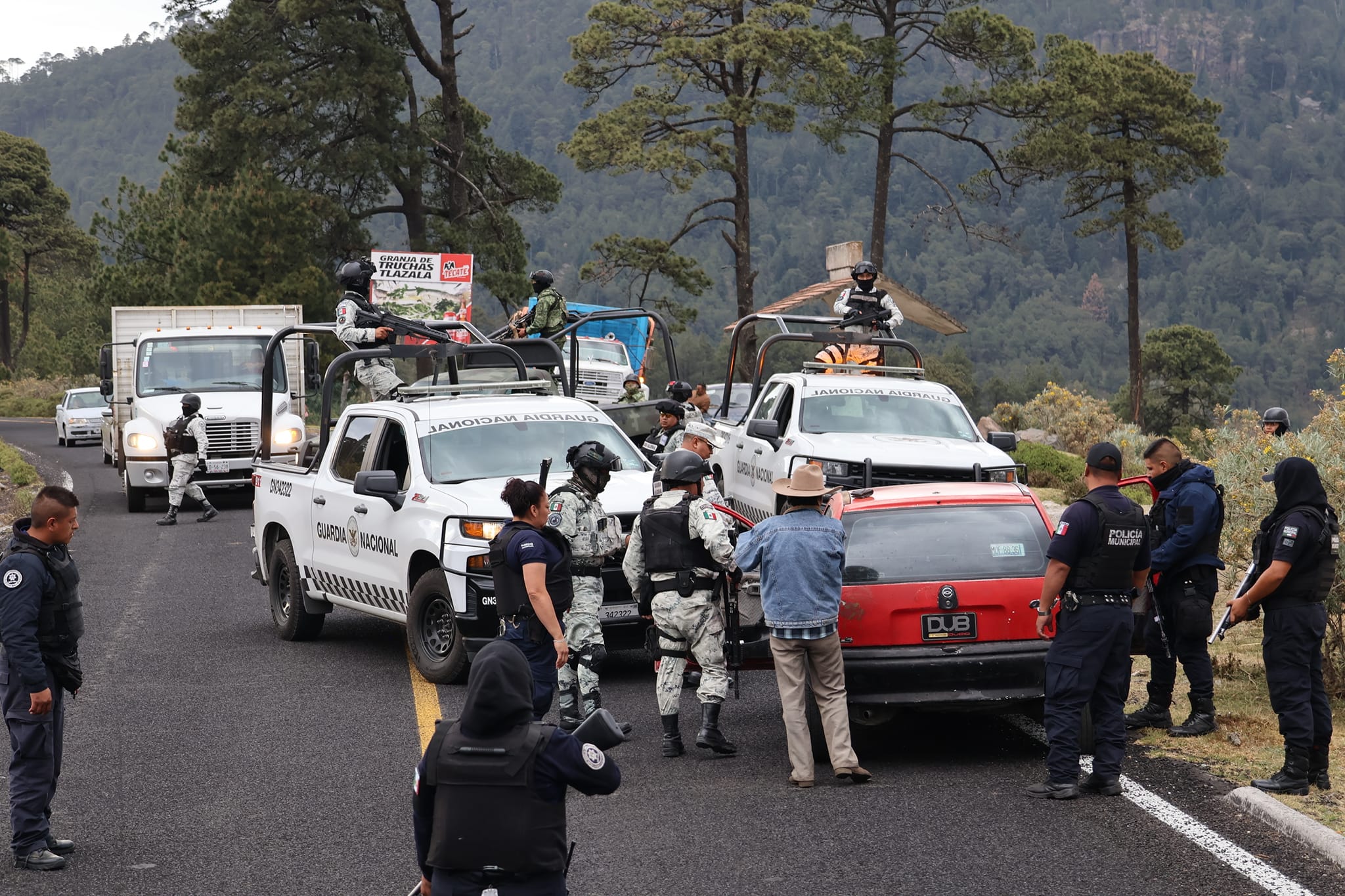 Prevenir Inhibir Y Erradicar La Comisión De Delitos En Contra Del Medio Ambien Estado De México 5087