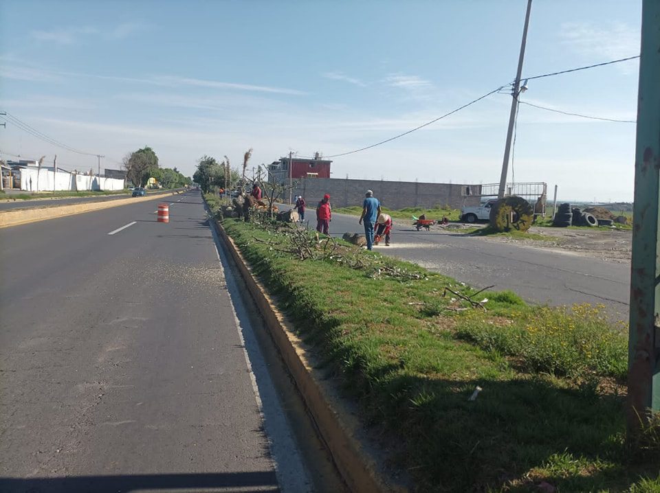 1682377219 262 El equipo de Parques y Jardines se encuentra realizando trabajos