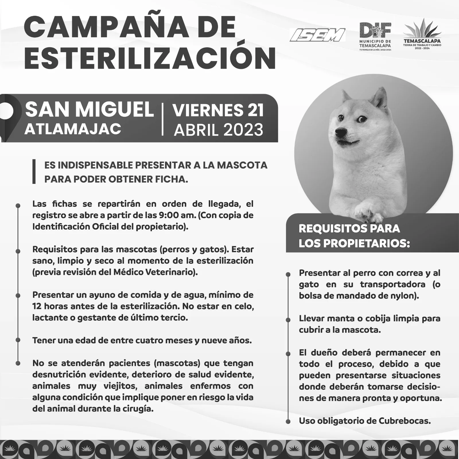 1682453934 Las campanas de esterilizacion tienen un objetivo muy importante que jpg