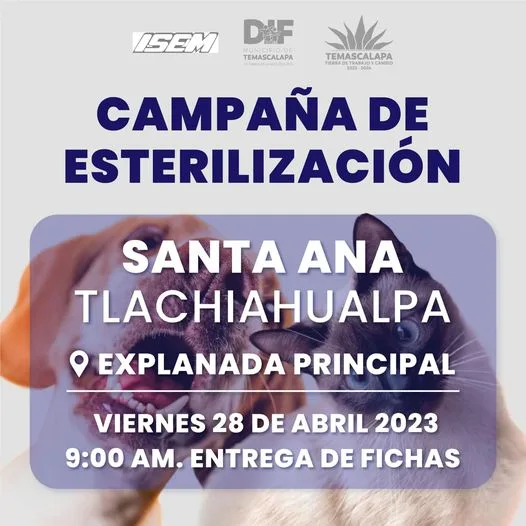 1682461249 Las campanas de esterilizacion tienen un objetivo muy importante que jpg