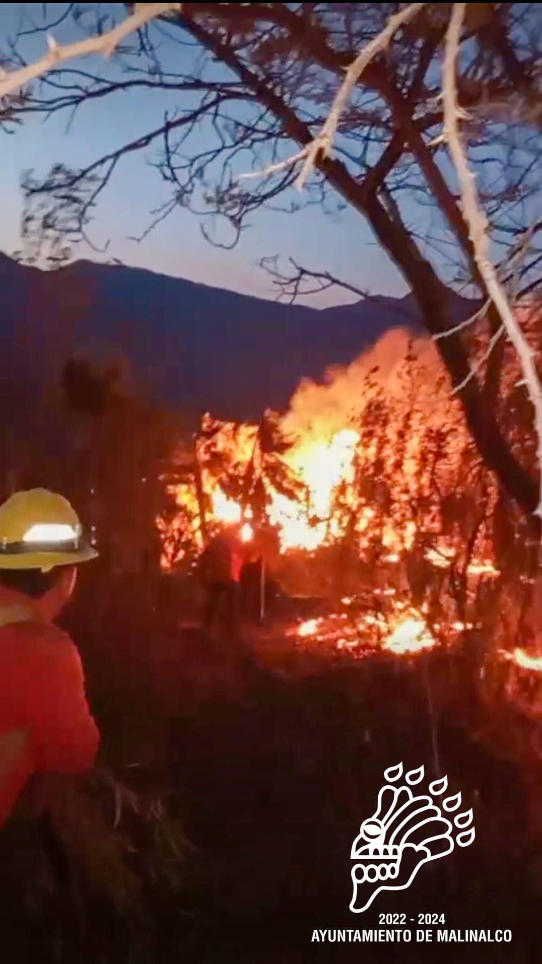 1682512582 108 Es lamentable la perdida de flora y fauna a causa