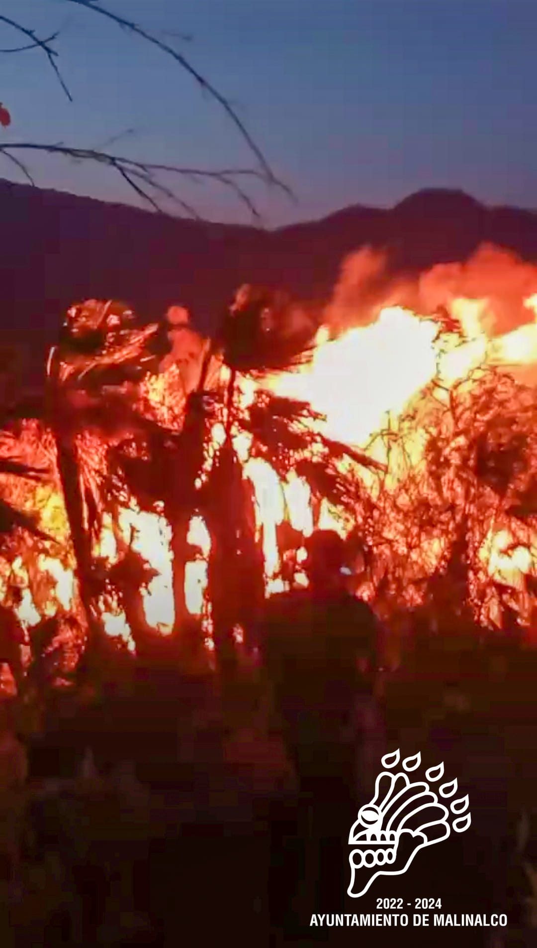 1682512595 781 Es lamentable la perdida de flora y fauna a causa