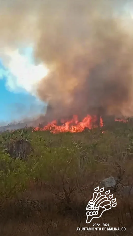 1682512655 Es lamentable la perdida de flora y fauna a causa jpg