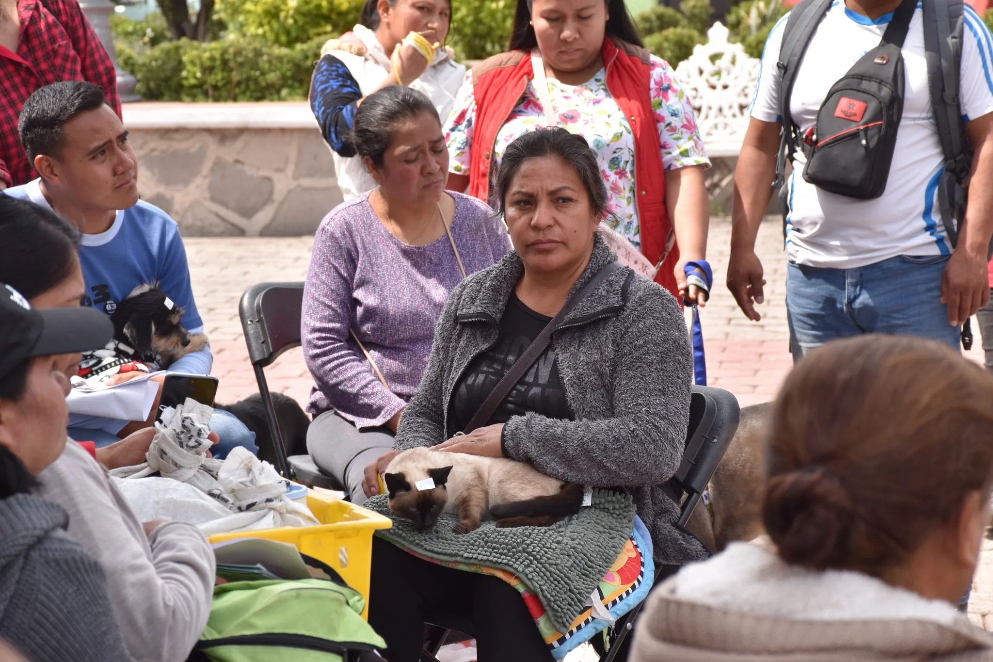 1682514389 Gracias a los propietarios responsables de las 31 mascotas que jpg