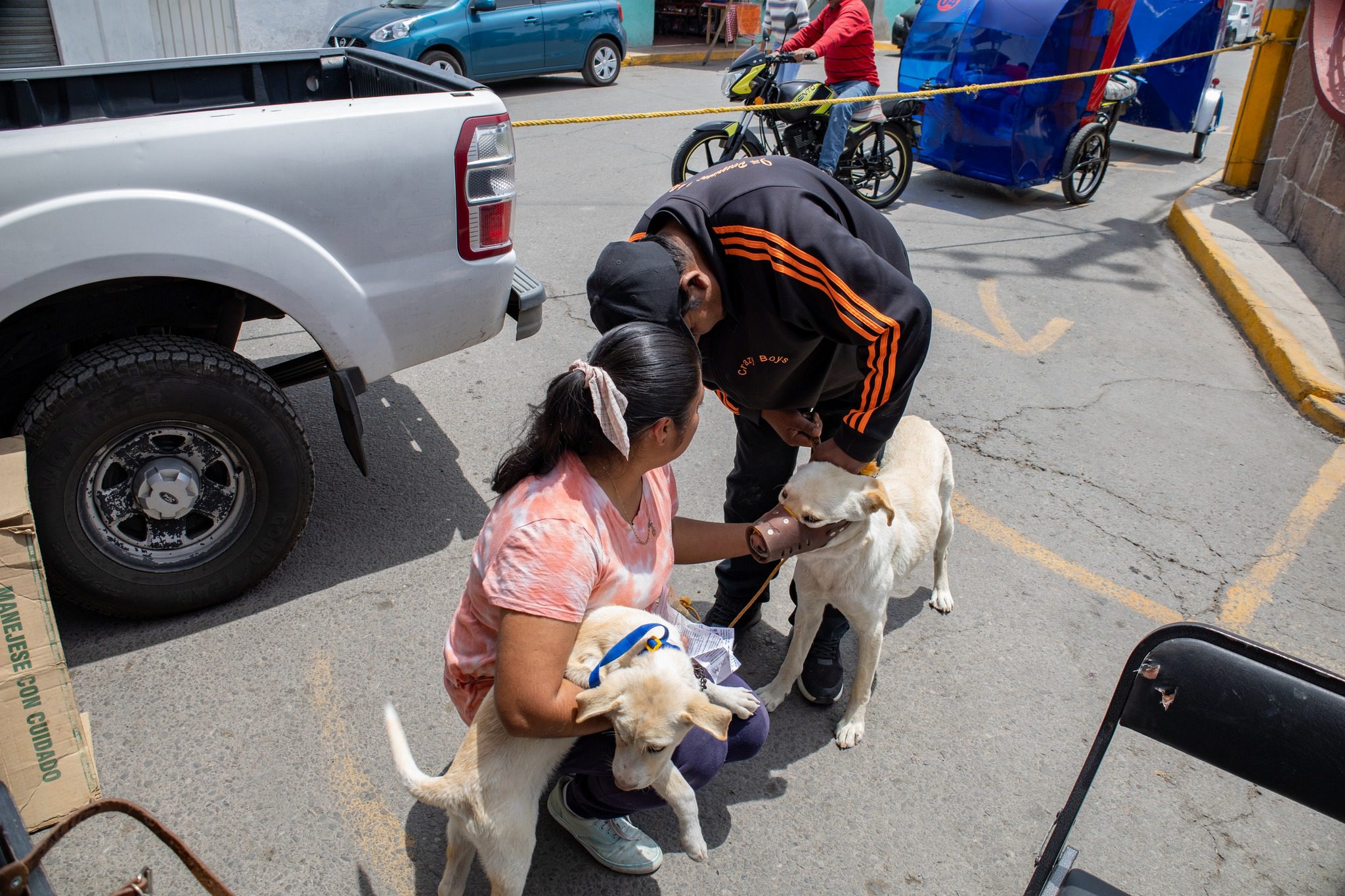 1682546238 760 CUARTA JORNADA DE ESTERILIZACION CANINA Y FELINA 2023