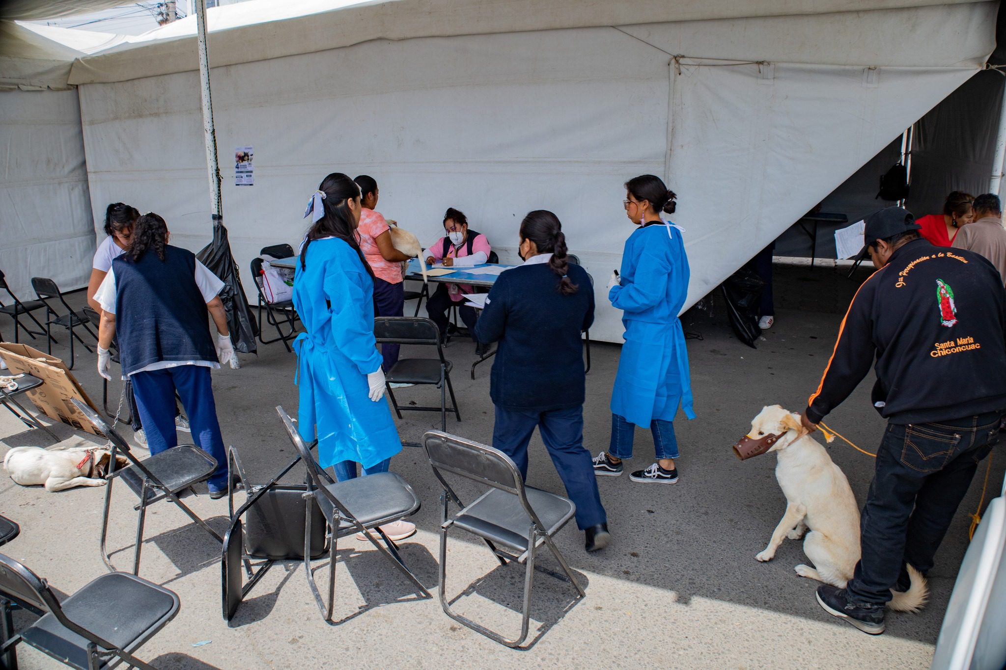 1682546249 603 CUARTA JORNADA DE ESTERILIZACION CANINA Y FELINA 2023