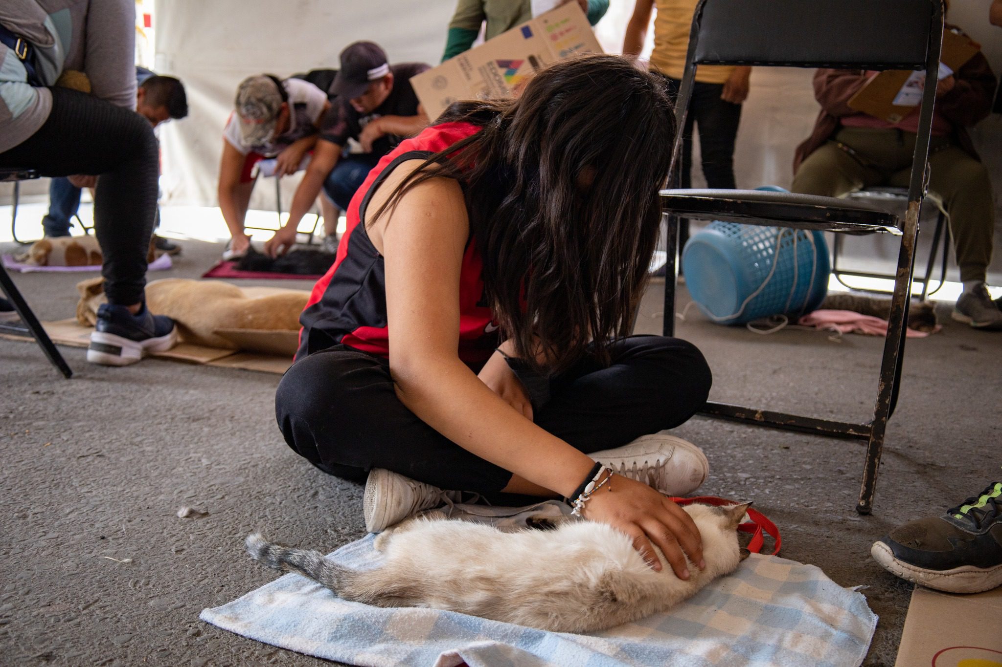 1682546255 93 CUARTA JORNADA DE ESTERILIZACION CANINA Y FELINA 2023