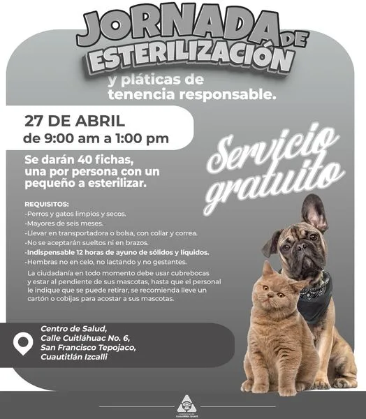 1682546869 Lleva a tu mascota a la Jornada de Esterilizacion que jpg