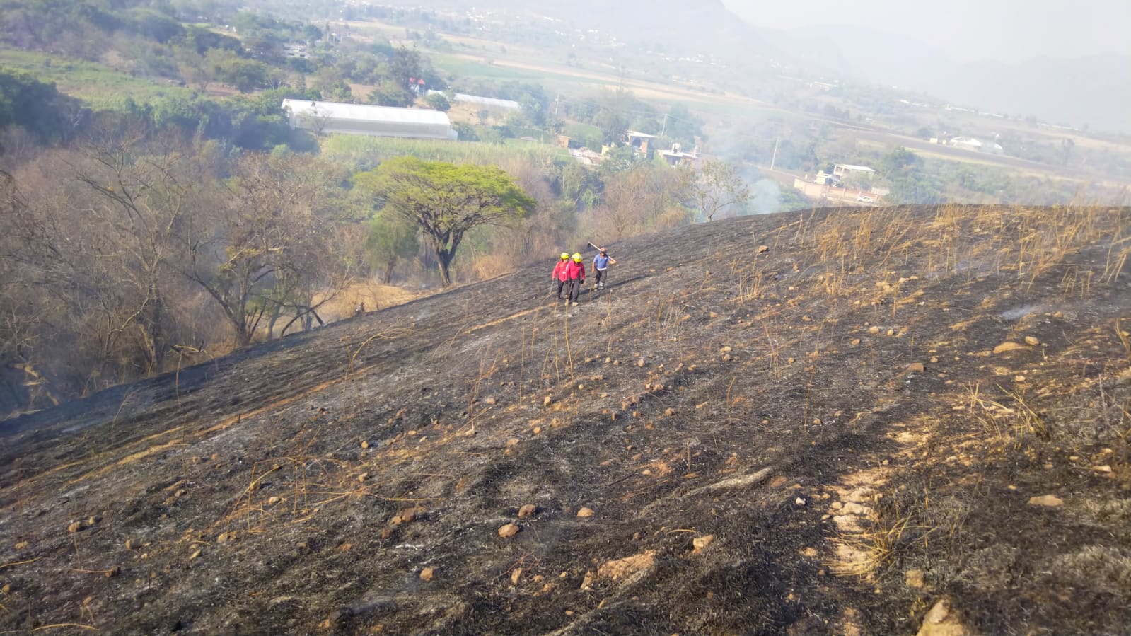 1682621320 892 Reconocemos y agradecemos infinitamente a la brigada municipal Proteccion Civil