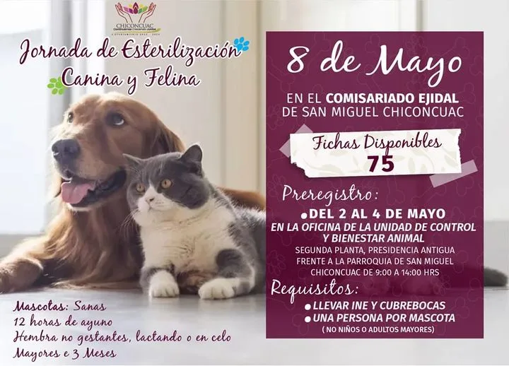 1682632555 Se llevara a cabo la Jornada de Esterilizacion canina y jpg