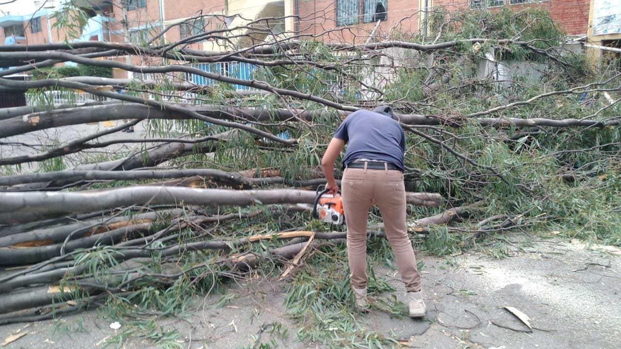 1682694379 288 Despues de las rachas de viento que se registraron esta