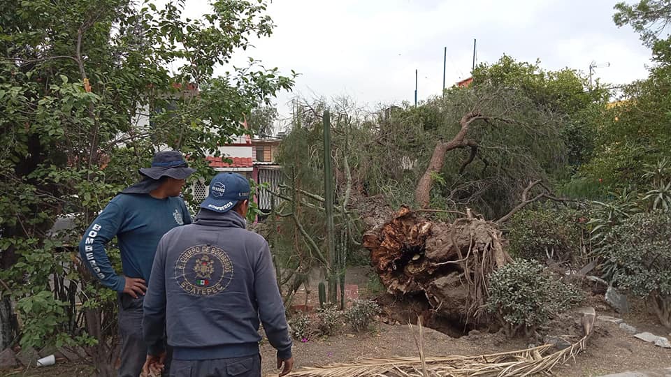 1682694426 Despues de las rachas de viento que se registraron esta