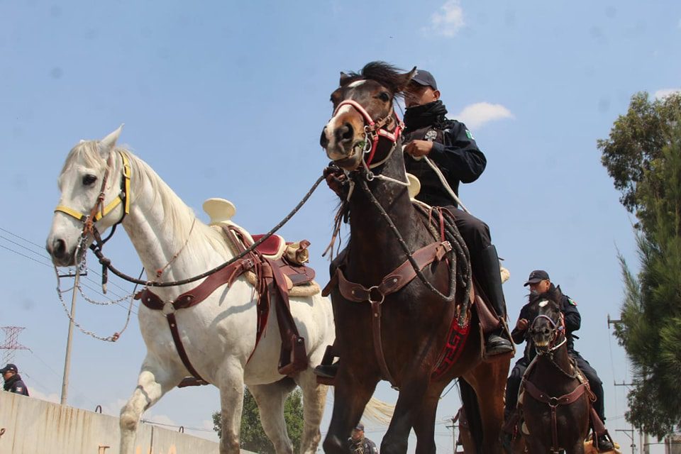 1682716341 467 Elementos de la Celula de Caballeria de la policia municipal