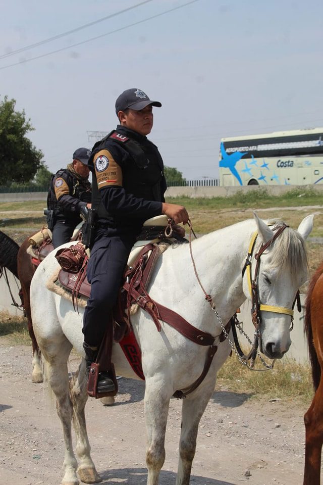 1682716348 589 Elementos de la Celula de Caballeria de la policia municipal