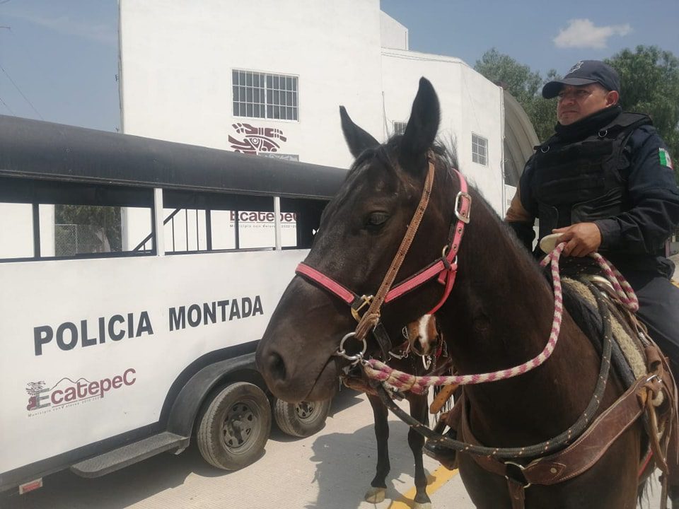 1682716354 998 Elementos de la Celula de Caballeria de la policia municipal