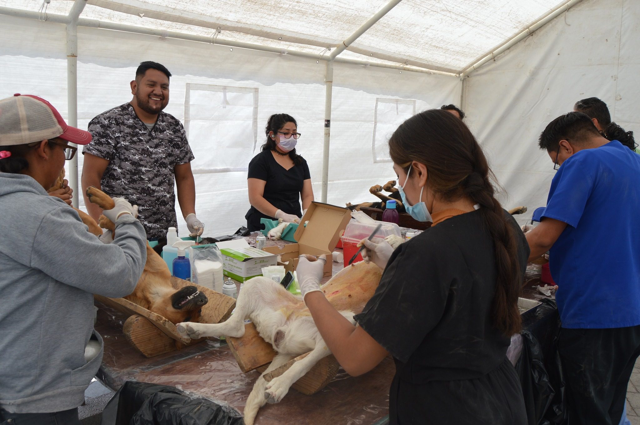 1682780195 463 Las campanas de esterilizacion tienen un objetivo muy importante contribuyen