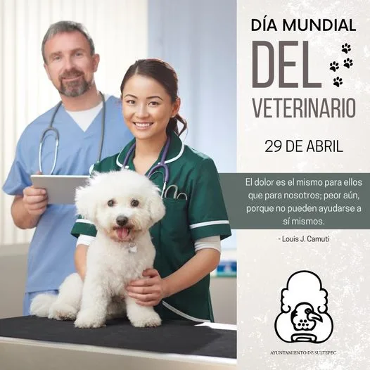 1682785909 29 de abril Dia Mundial del Veterinario jpg