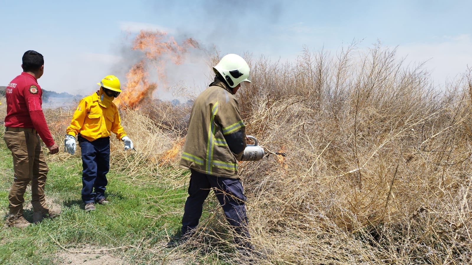 1682857104 837 Para evitar incendios forestales y fomentar la cultura de la