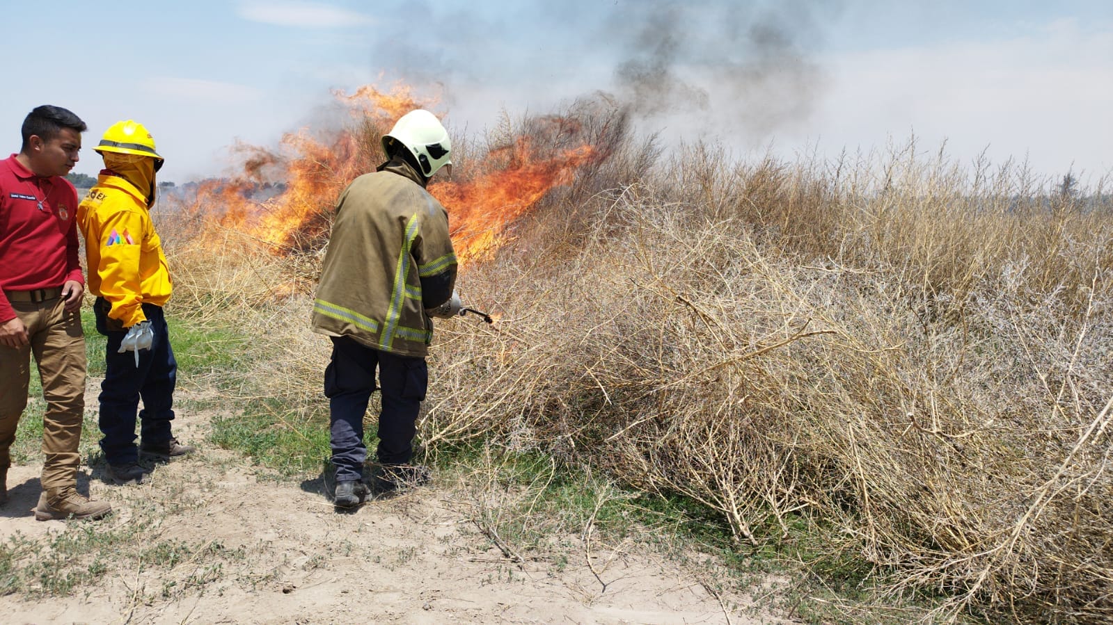 1682857110 621 Para evitar incendios forestales y fomentar la cultura de la