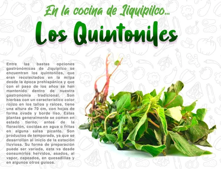 Esta temporada en la cocina de Jiquipilco Los Quintoniles ¡Conoce jpg