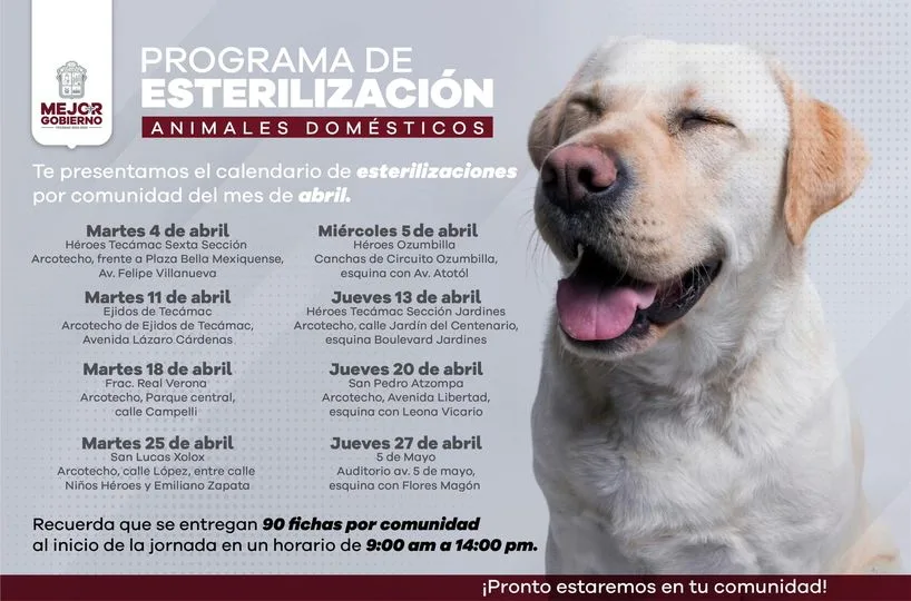 Nuestro Programa de Esterilizacion de Animales Domesticos ¡Es completamente grat jpg