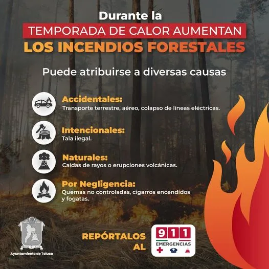 ¡Evitemos incendios forestales jpg