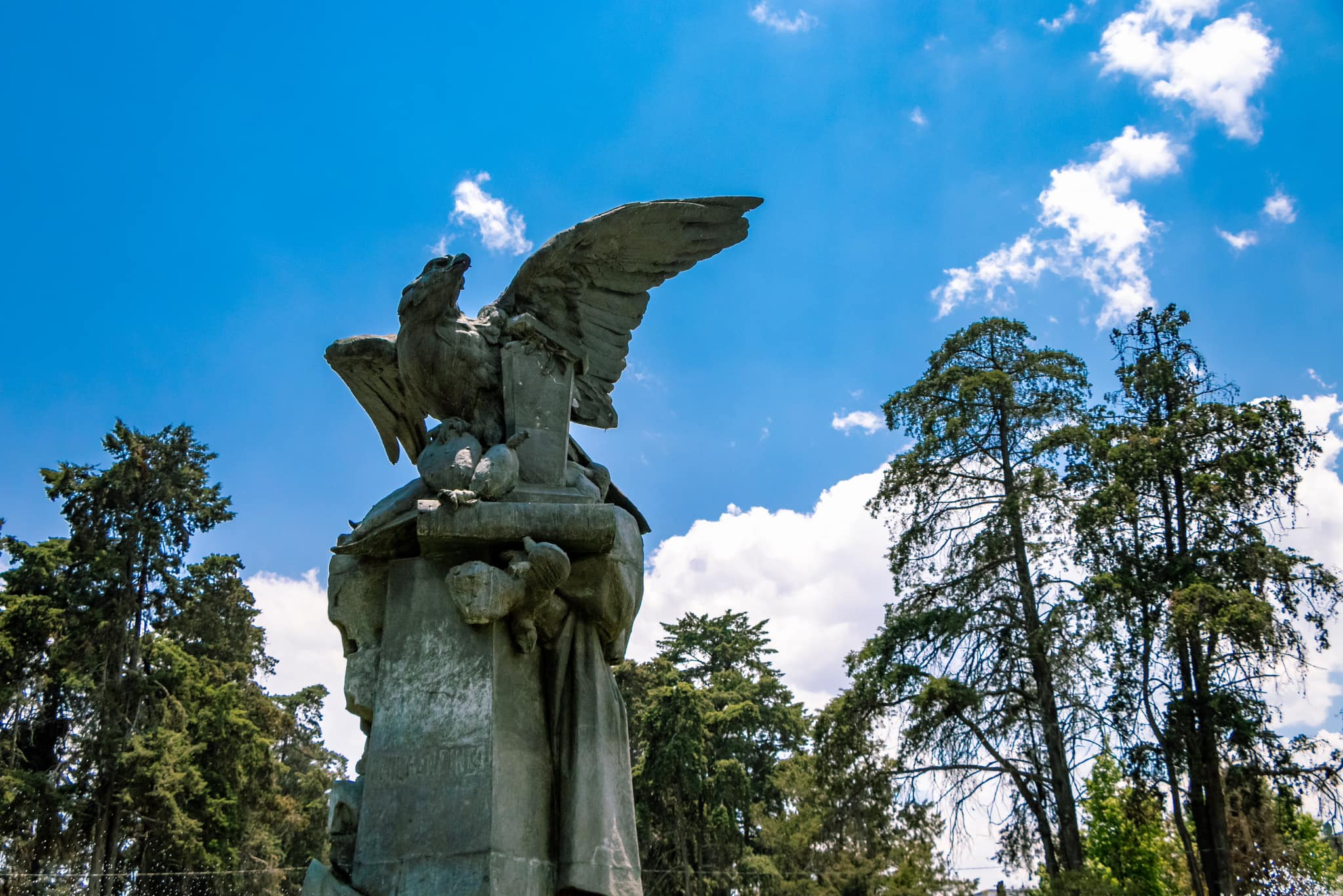 ¡Feliz DiaDelNino Toluca