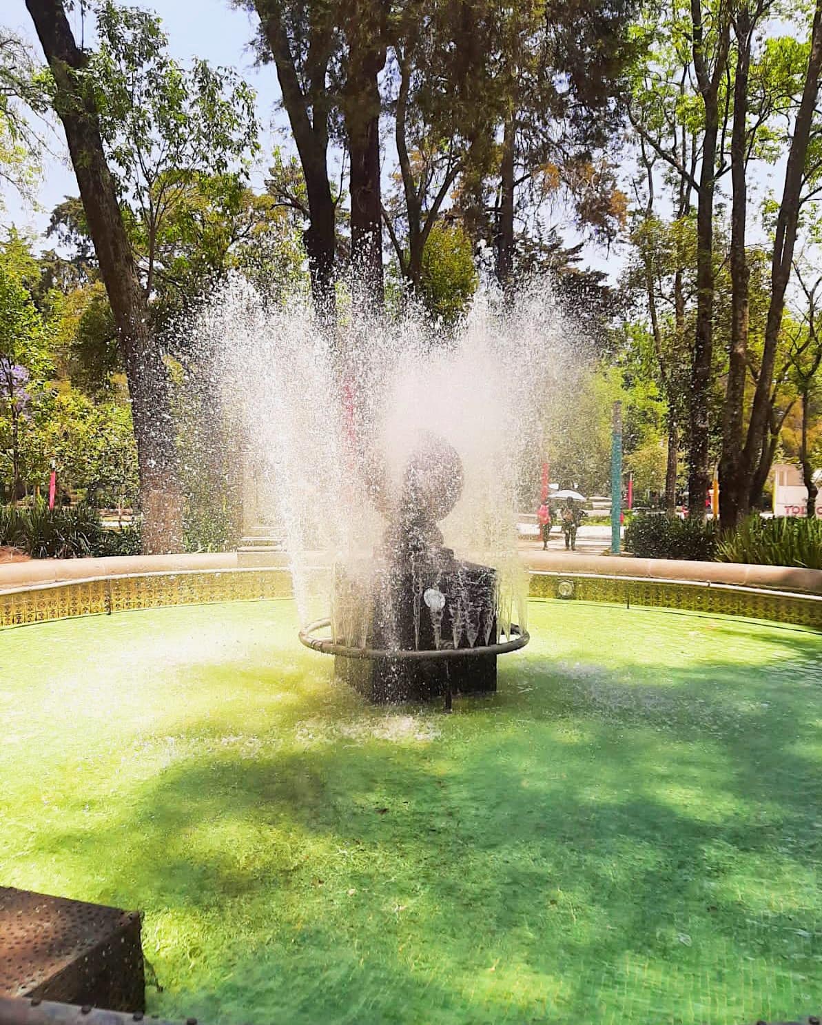 ¡Queremos que todos nuestros parques esten limpios y puedas disfrutarlos