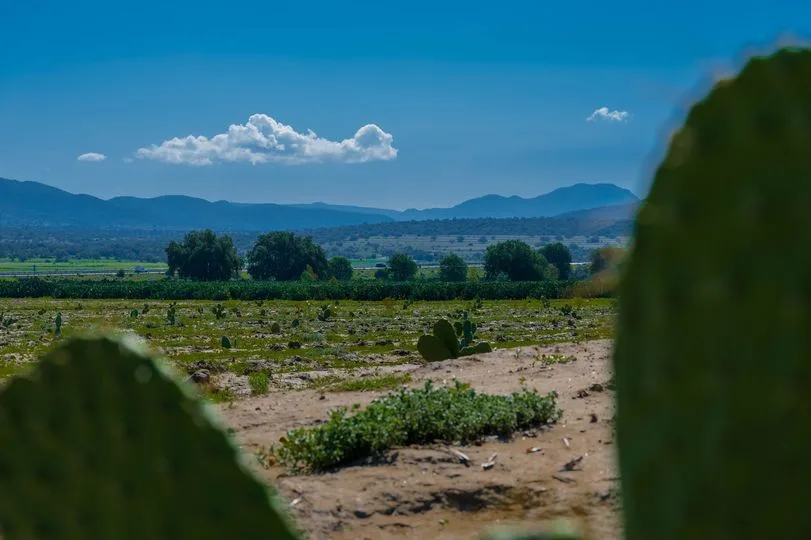 ¿Buscas paisajes impresionantes Los campos que nos rodean son jpg