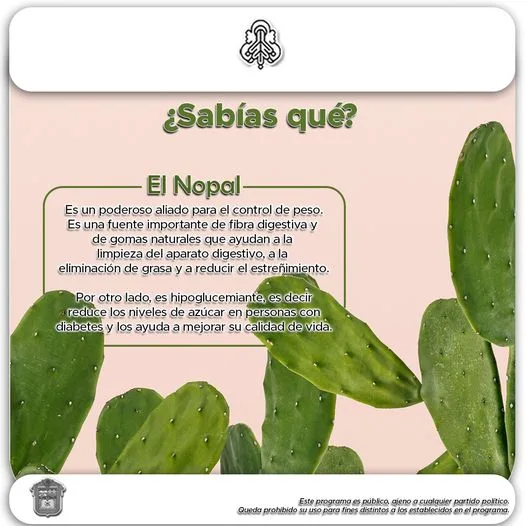 ¿Sabias que El nopal llamado por los chichimecas nohpalli pero jpg