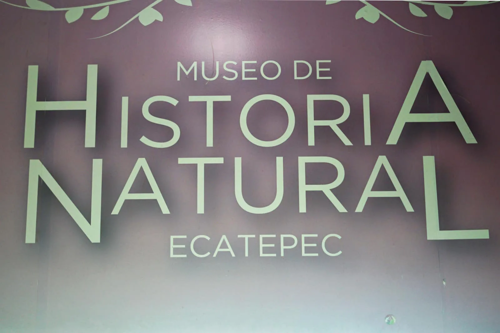 ¿Ya conoces el Museo de Historia Natural de Ecatepec Aprovecha jpg