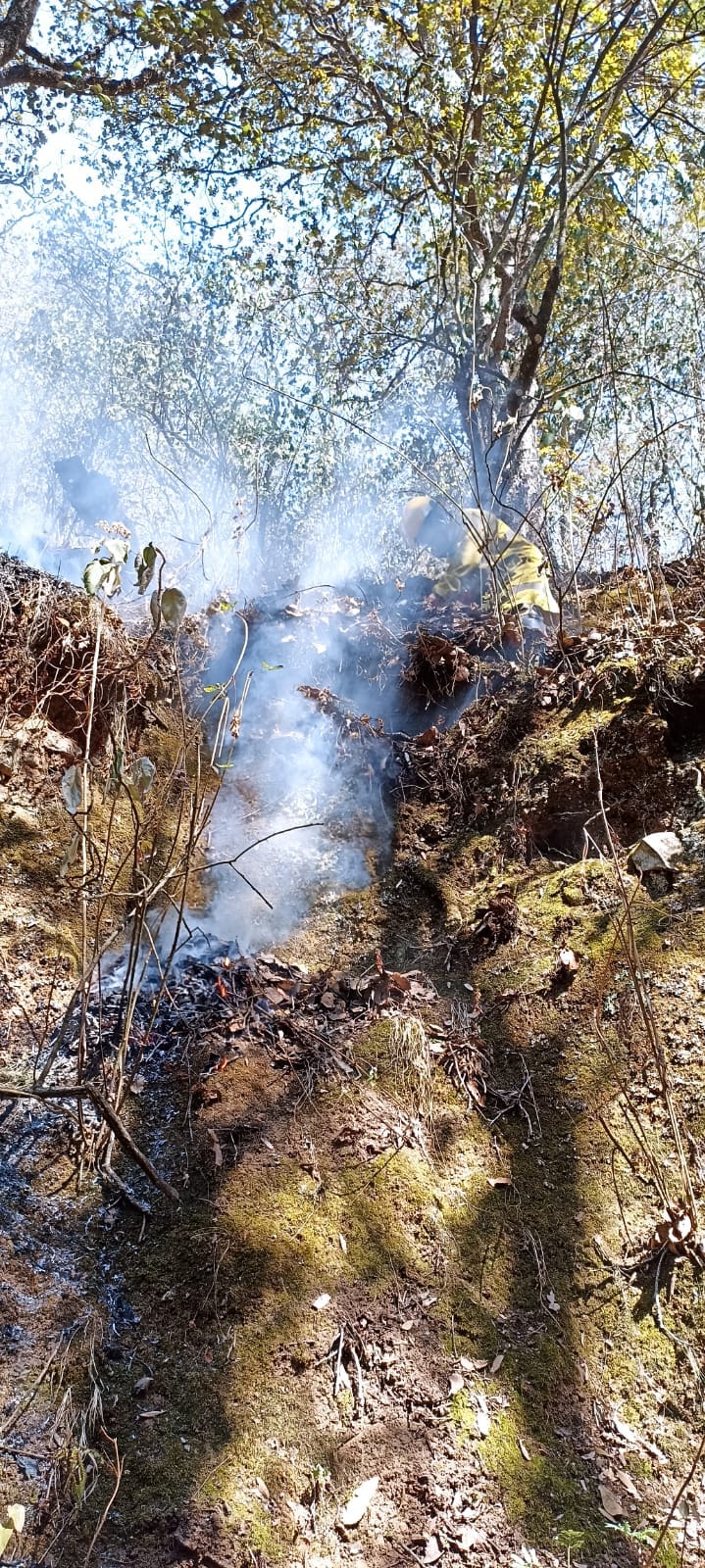 1682961745 604 Nuestro heroico cuerpo de Bomberos trabaja en sofocar un incendio