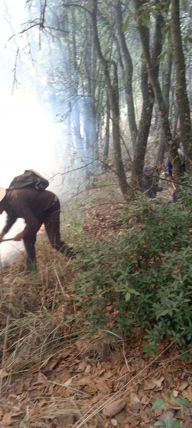 1682963489 455 En estos momentos mantenemos trabajos para sofocar un incendio forestal