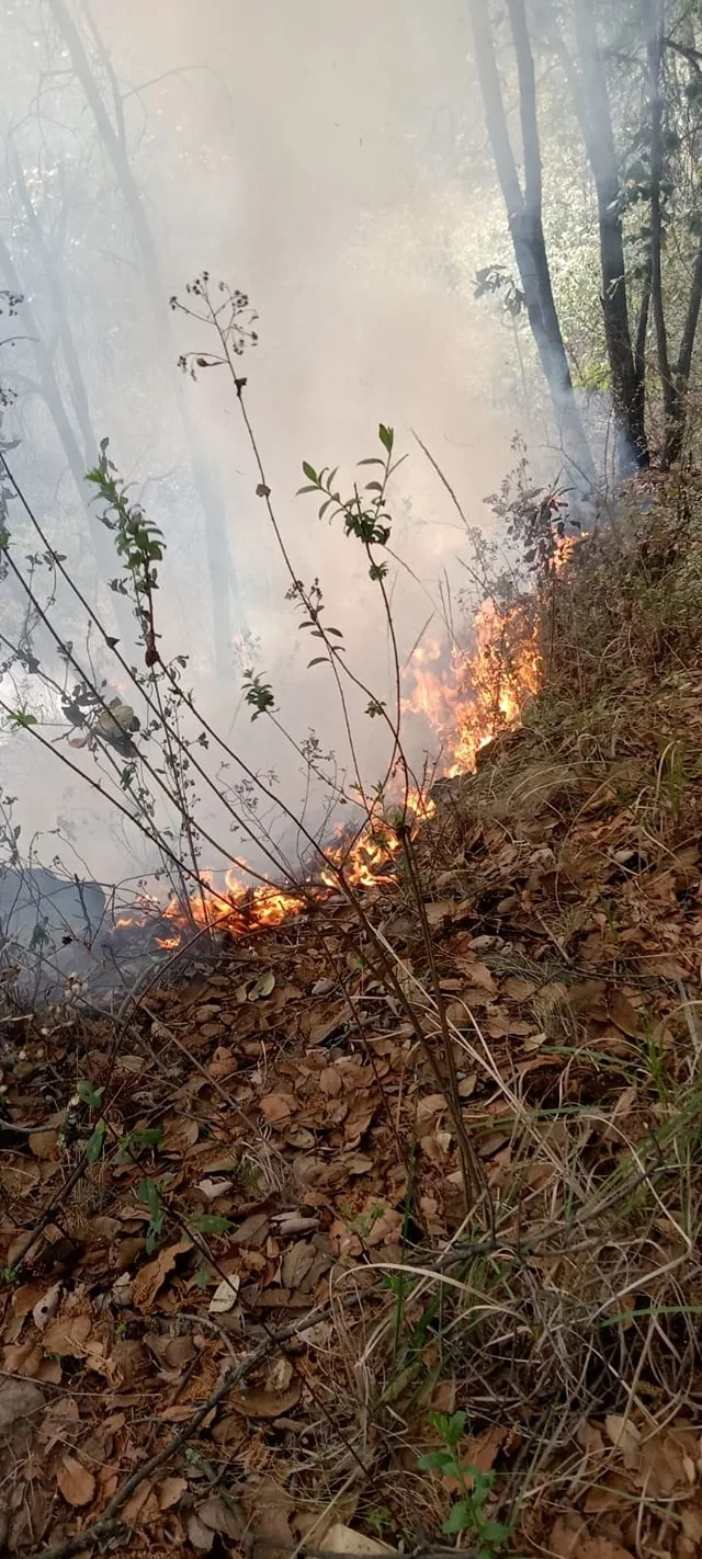 1682963533 En estos momentos mantenemos trabajos para sofocar un incendio forestal jpg