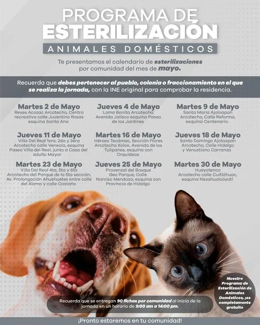 1683035808 Informacion de Interes General Nuestras jornadas de esterilizacion por jpg