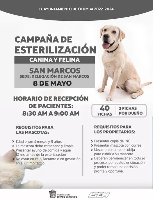 1683065571 Esterilizacion Canina y Felina en la comunidad de San Marcos jpg