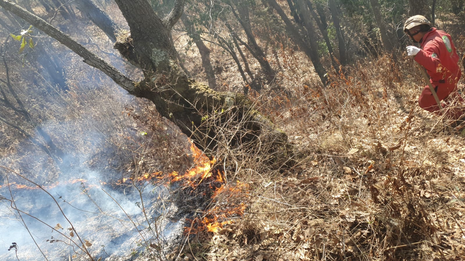 1683070699 119 Bomberos de Ixtlahuaca trabajan en sofocar incendio provocado en