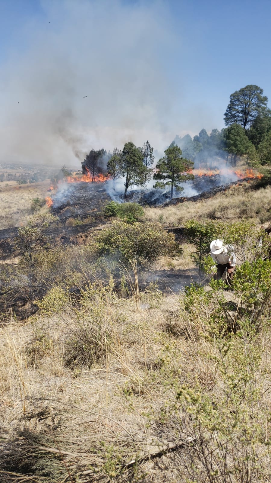 1683070751 Bomberos de Ixtlahuaca trabajan en sofocar incendio provocado en